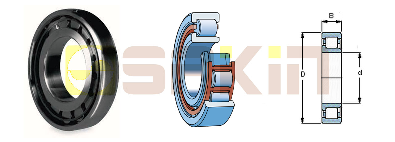 SKF-NJ型单列圆柱滚子轴承